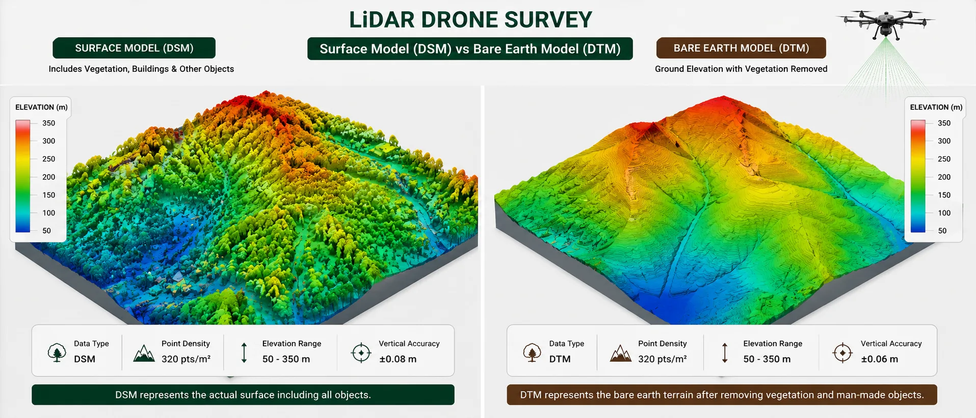 The same wooded area shown twice, as surface model and as bare-earth terrain