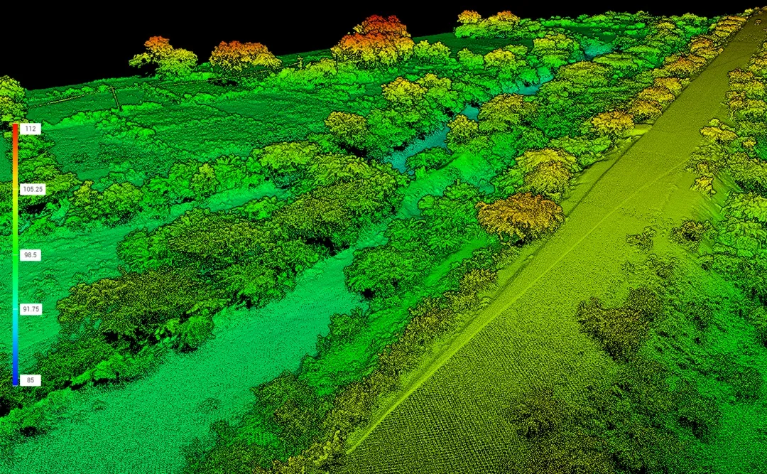 Classified LiDAR point cloud of wooded ground, coloured by height